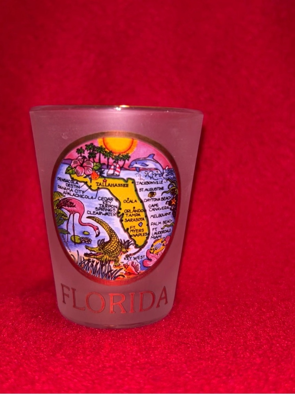 Florida Frosted Glass Souvenir Shot Glass - Pink Accent